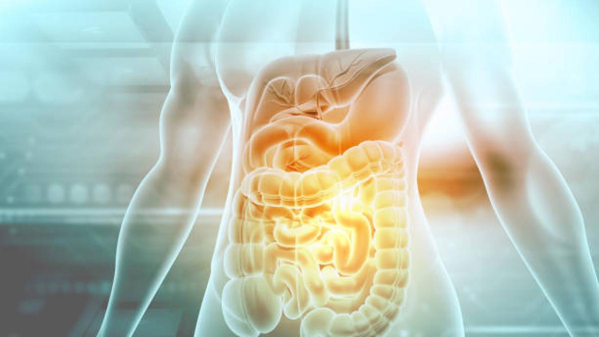 Estos 5 alimentos pueden mejorar su microbiota intestinal y la salud en general