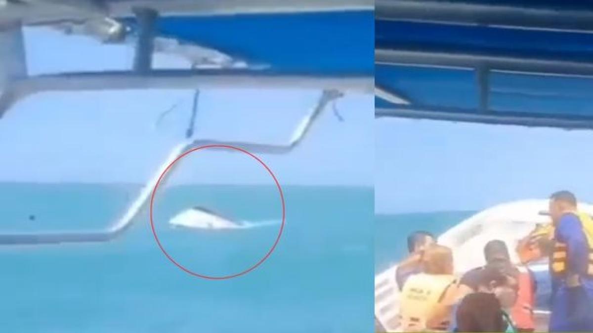 Una lancha se hundió con 17 turistas en Santa Marta: autoridades no registraron personas heridas