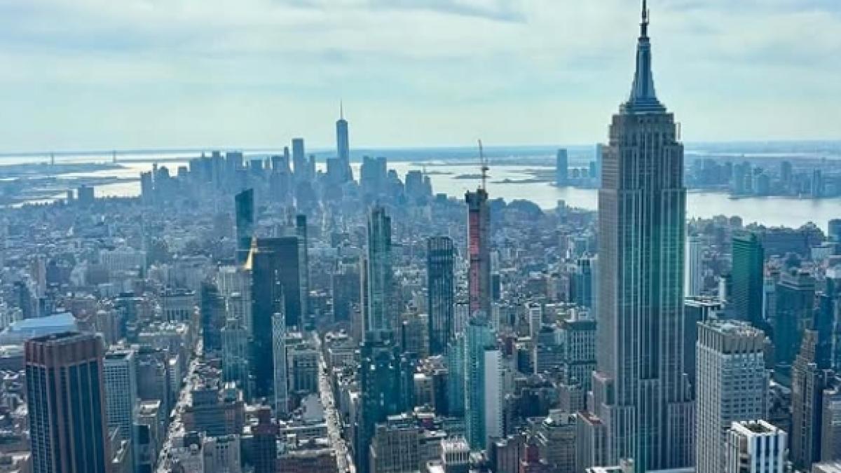 Atención: si vive en Nueva York y tiene este animal, puede recibir una multa de 2.000 dólares