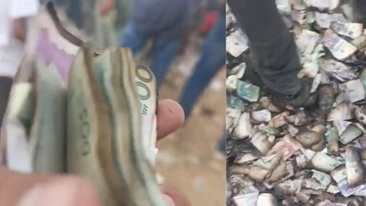 Personas se lanzaron a recoger dinero incinerado tras robo a carro de valores en Riohacha: 'Hoy sí te pago'