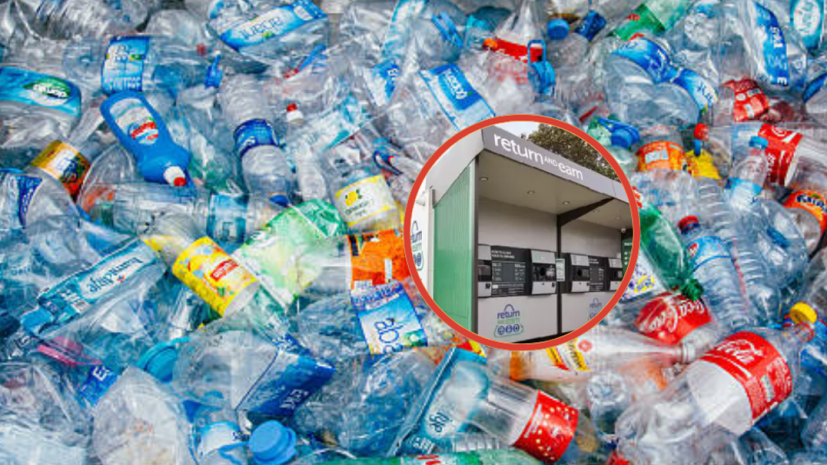 Recogía latas y botellas en los conciertos: pudo comprar su propia casa con lo que recibió por hacerlo