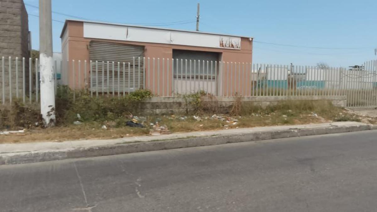 Los Ochoa: la familia que se resiste al despojo de un predio de 7 hectáreas en Barranquilla