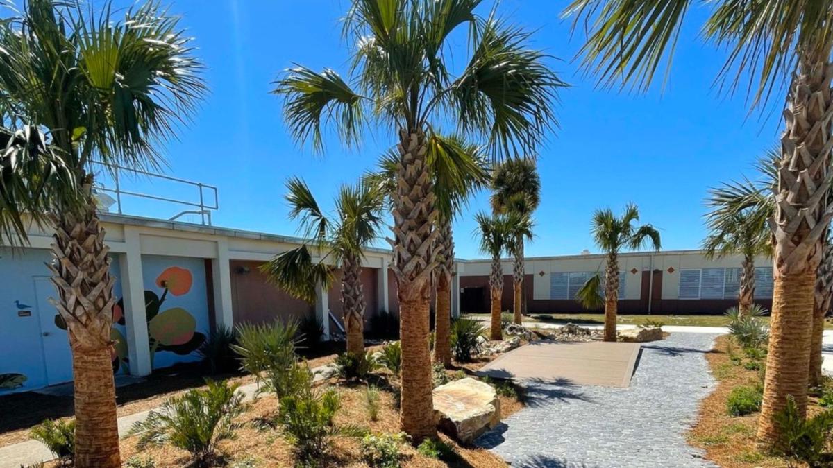 Una maestra de Florida perdió su trabajo por llamar a un alumno de esta forma