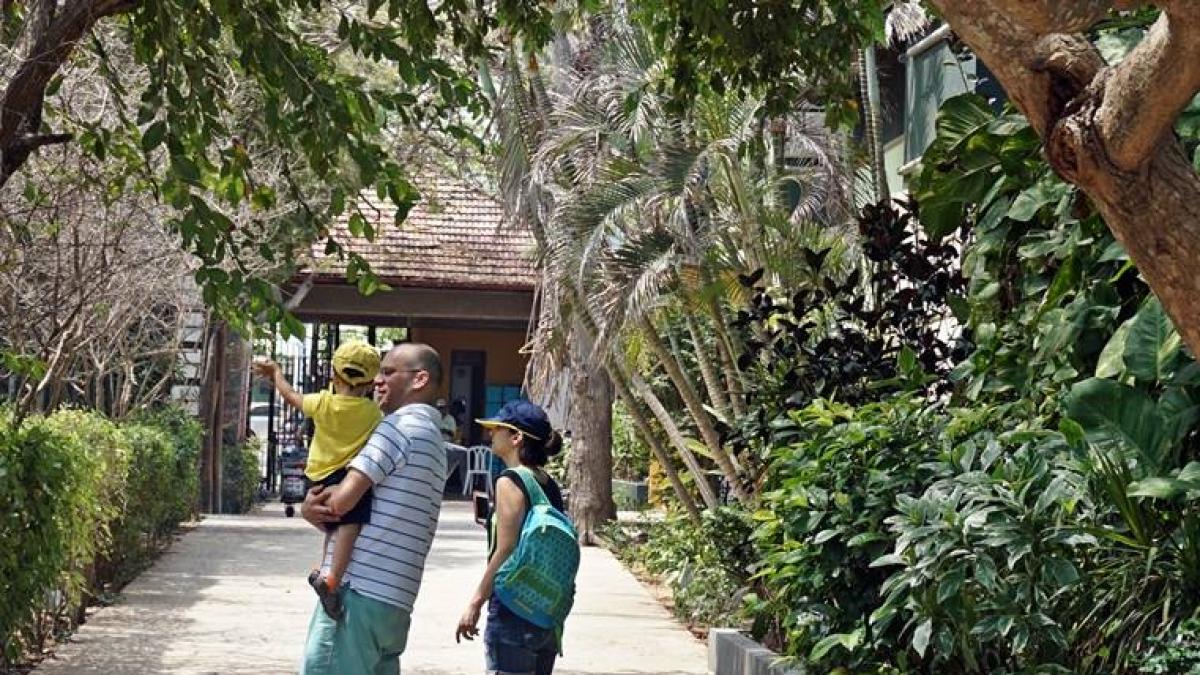 Aventura africana en Barranquilla: el Zoo se alista para celebrar el Día del Niño con la llegada de nuevos animales
