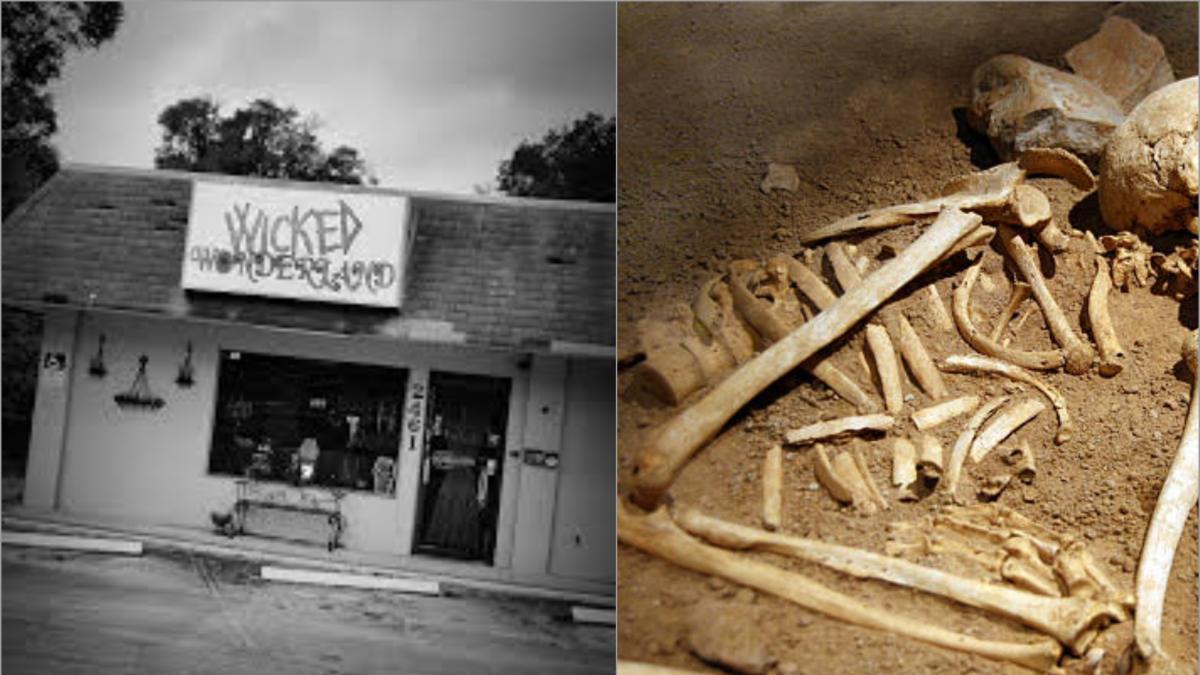 La espeluznante tienda de Florida que vendía huesos humanos: 'De más de una persona'