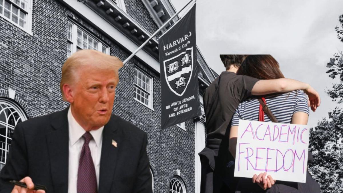 ¿Por qué Donald Trump 'les declaró la guerra' a Harvard y a otras universidades élite en Estados Unidos?