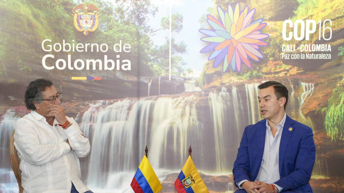 ‘Entra al mismo ciclo de violencia que ha vivido Colombia’: presidente Petro tras masacre en Ecuador