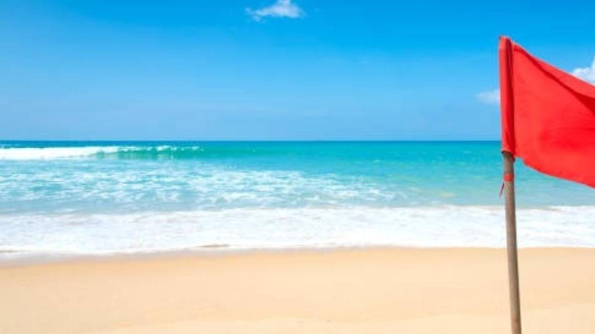 Servicio Meteorológico emitió alerta por algo alarmante en las playas de Florida: ¿cómo protegerse?