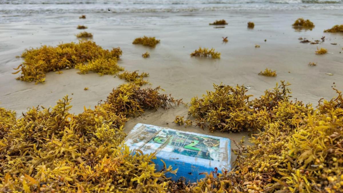 ¿Arrastrado por la marea?: en una playa de Texas, encontraron este cargamento ilegal