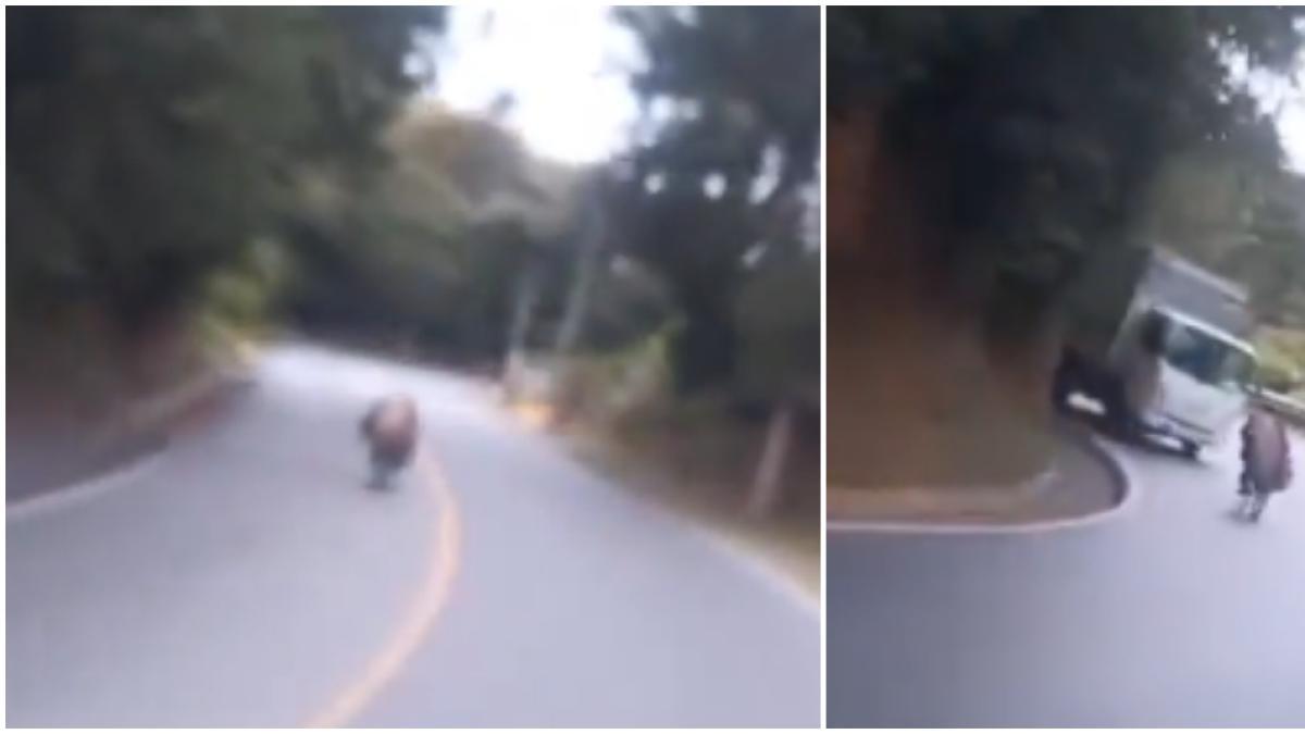 Video exacto del grave accidente que sufrió hombre cuando practicaba 'gravity bike' en una carretera de Antioquia
