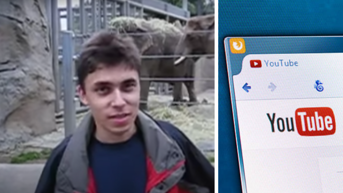 20 años desde la publicación del primer video de YouTube: todo comenzó en un zoológico
