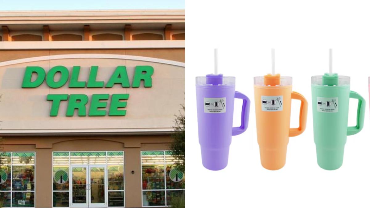 Los termos parecidos a Stanley que Dollar Tree vende a solo 1,25 dólares