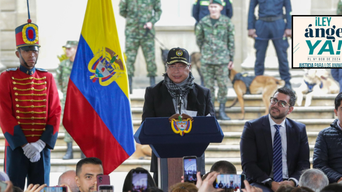 Presidente Gustavo Petro sancionó las leyes animalistas Ángel y Lorenzo ¿Qué es lo que buscan estas iniciativas?