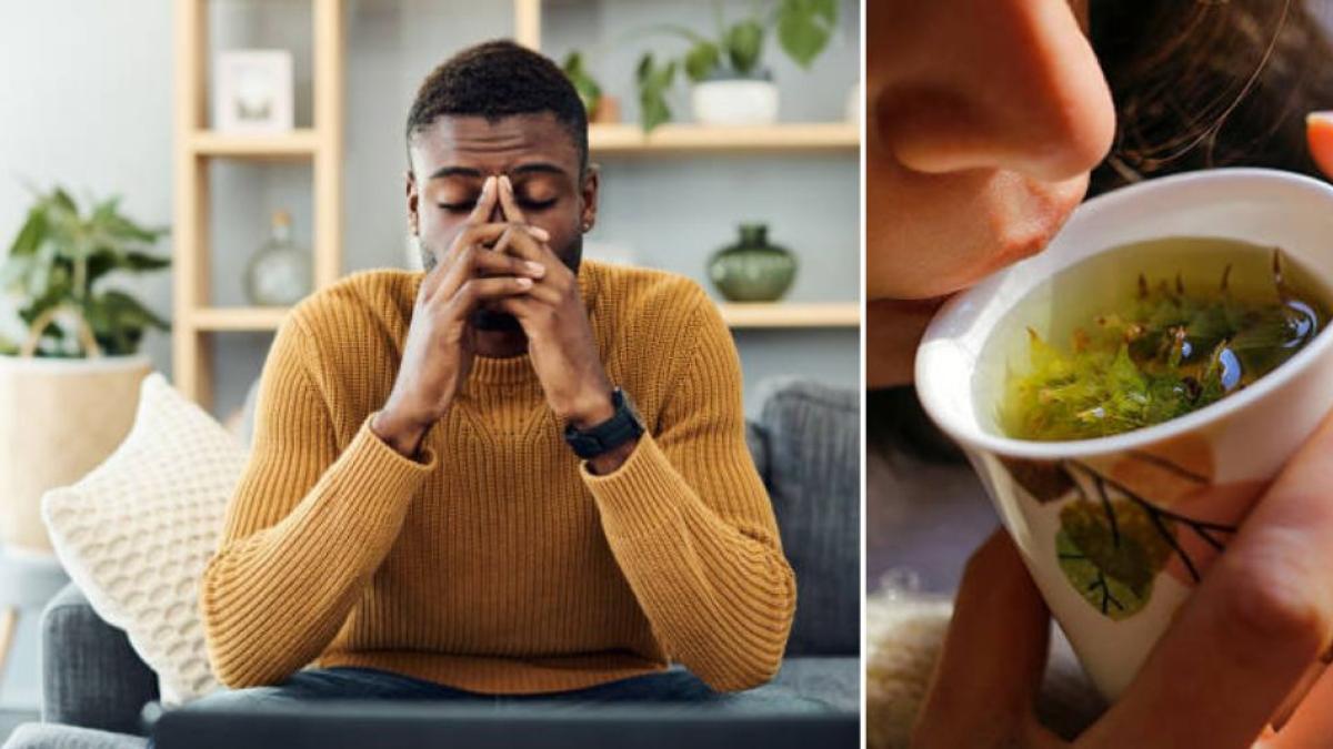 Los alimentos que debe consumir para disminuir los niveles de cortisol: ayudan a controlar el estrés y la ansiedad