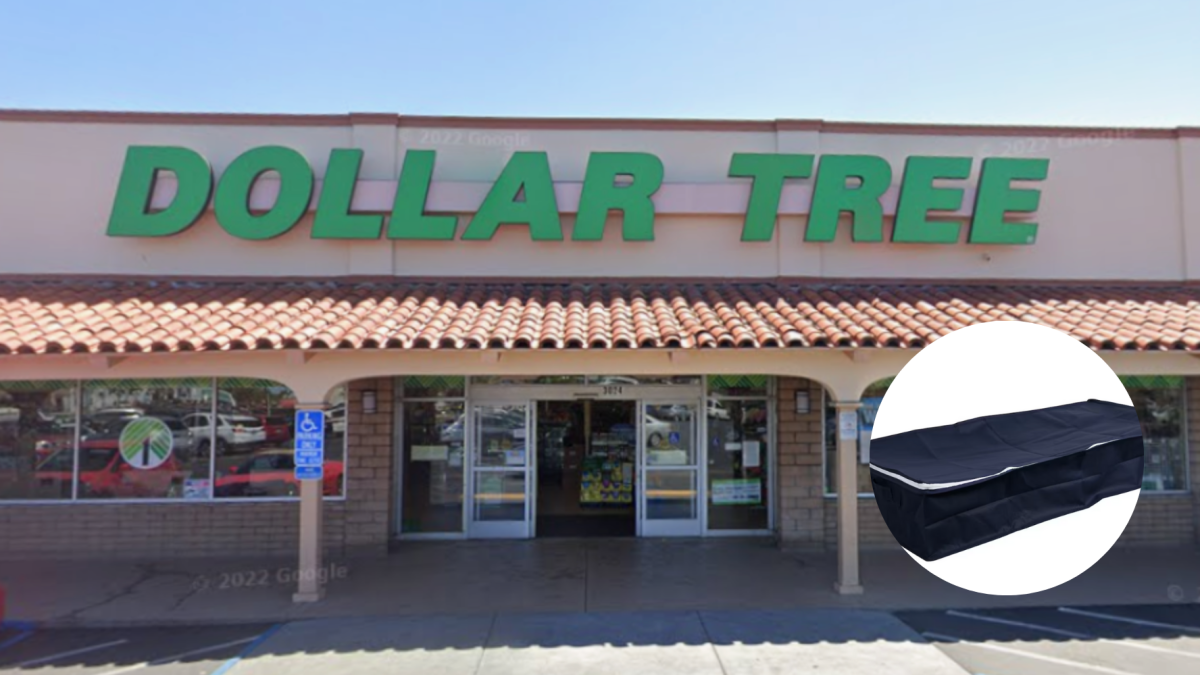 Las bolsas de almacenamiento que venden en Dollar Tree baratísimas y son muy grandes