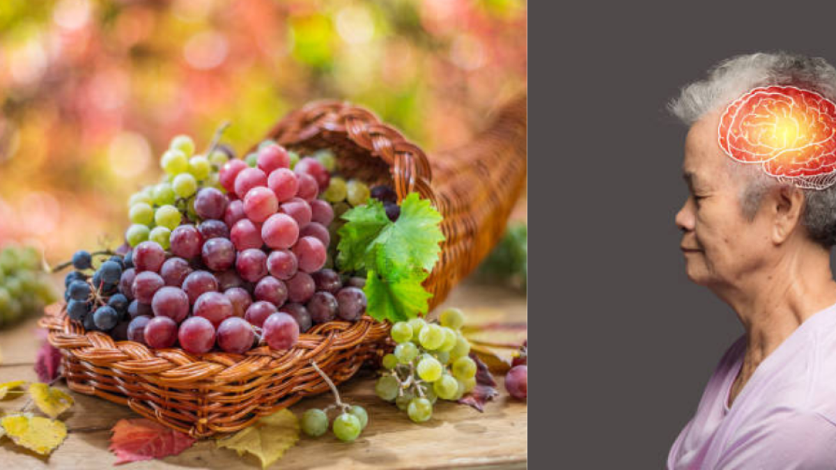 Esta es la fruta que puede consumir para combatir el deterioro cognitivo y prevenir la pérdida de memoria