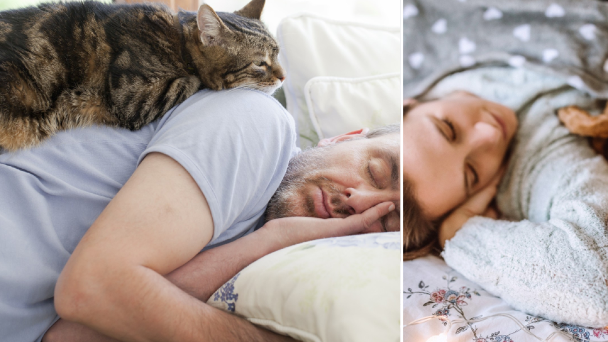 ¿Qué significa dormir con su mascota, según la psicología?