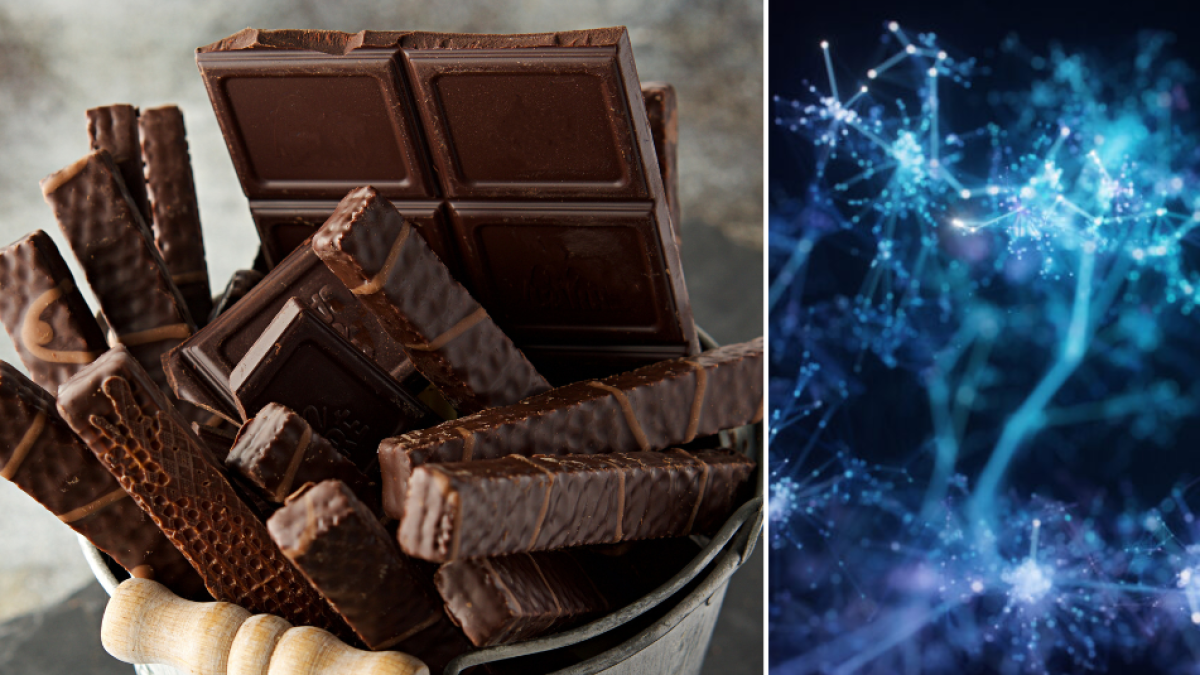 Este es el tipo de chocolate que es bueno para la memoria y protege el cerebro, según expertos