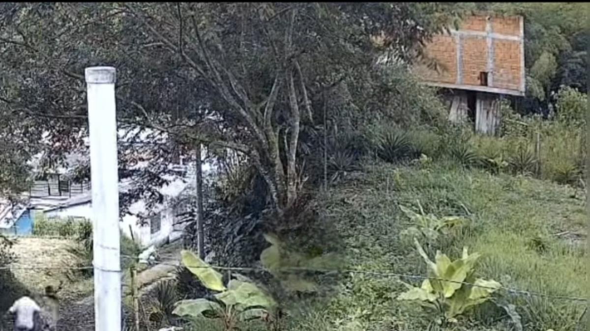 Hombre señalado de abusar de su hijastra fue captado en video al ser linchado por comunidad de Santa Rosa de Cabal