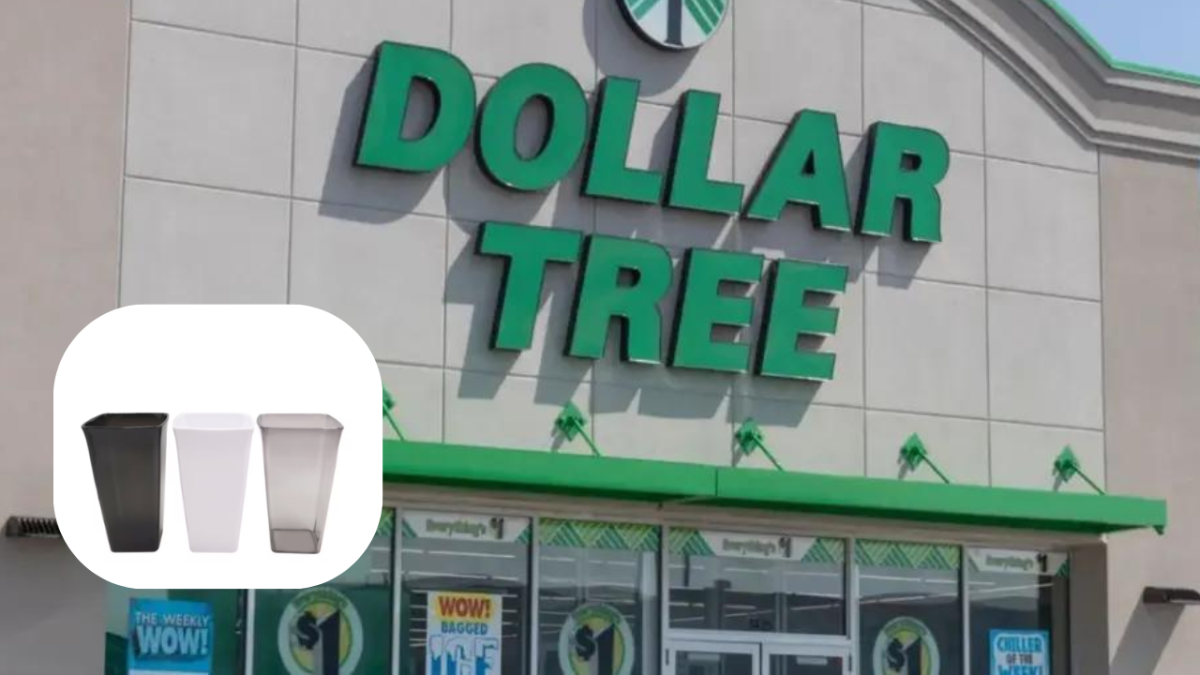 Los elegantes floreros que Dollar Tree vende a solo 1 dólar y los puede recibir a domicilio