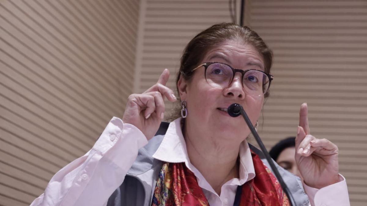 La advertencia de la MOE al Congreso por el transfuguismo: 'Van a destruir nuestro precario sistema de partidos'