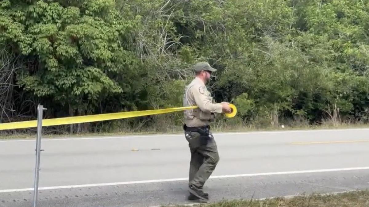 Se encontró con una criatura horrible en Florida y pasó lo peor: murió junto a su perro