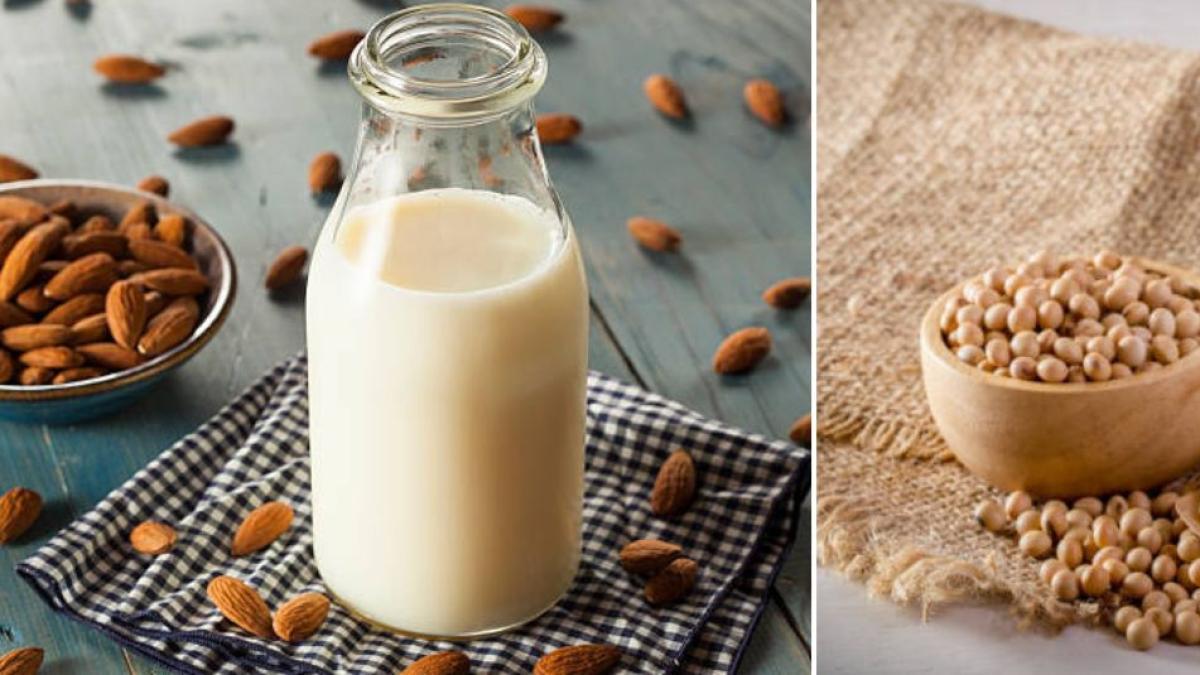 Leche de soya o leche de almendras: ¿cuál es mejor para bajar el colesterol?