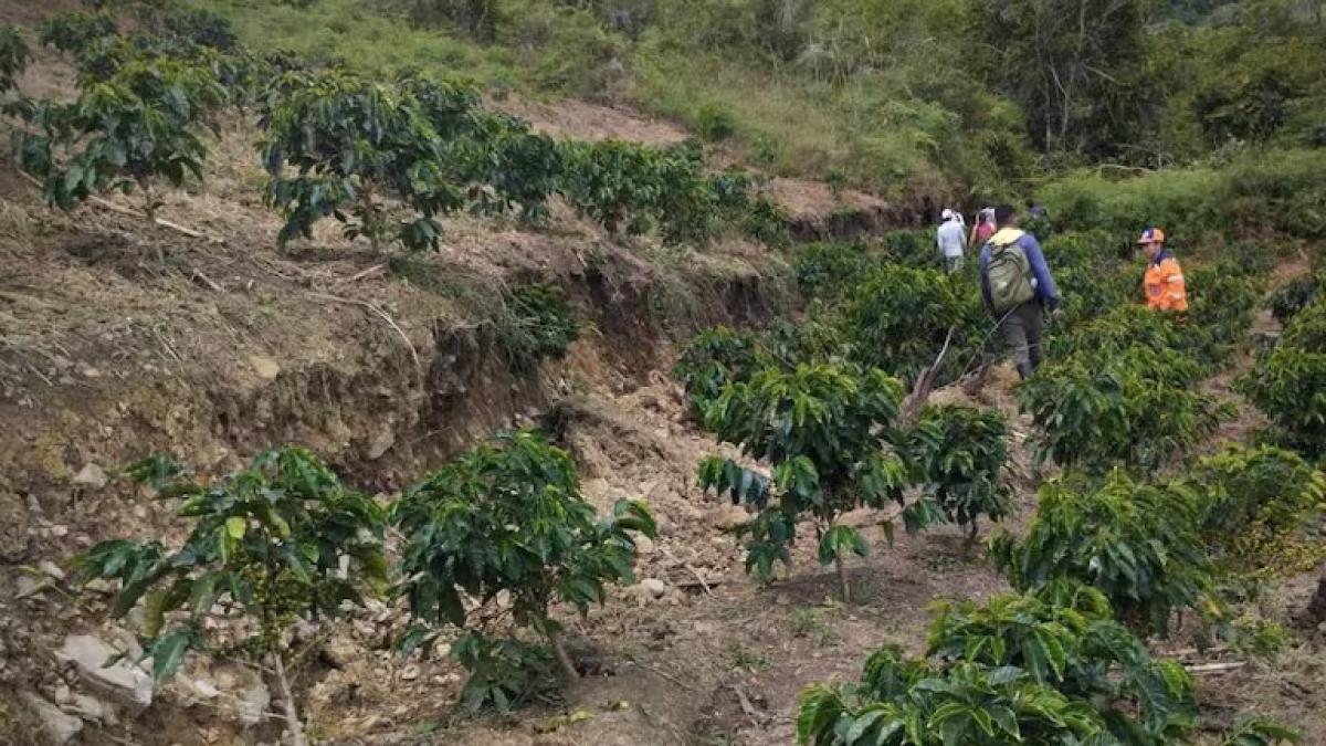 Alerta en Cauca: fuertes lluvias provocan derrumbe en la vía a la altura de Inzá que conduce al Huila