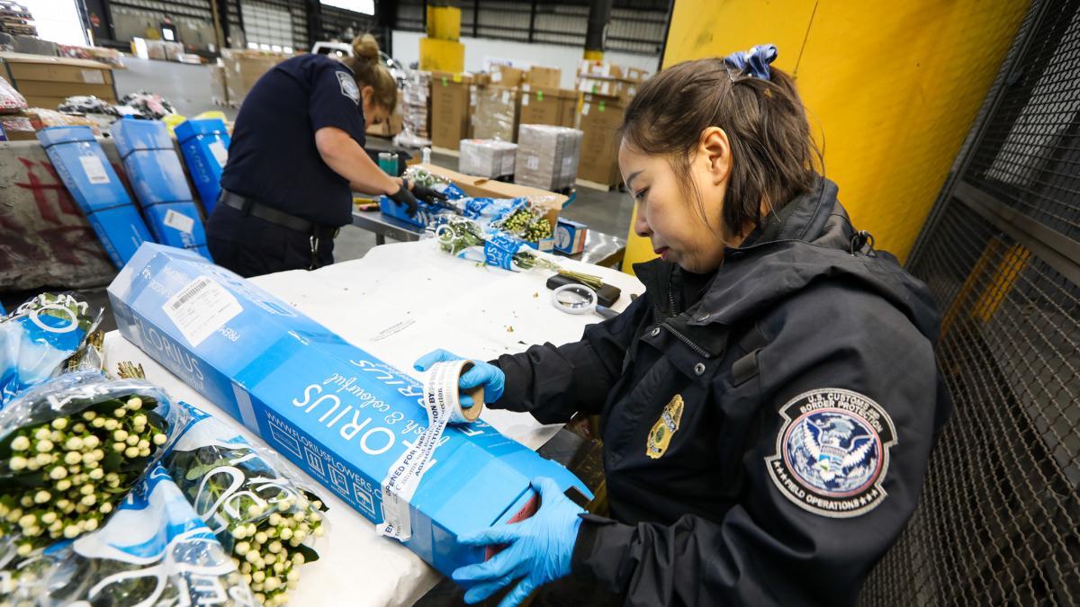 CBP fue tajante: advirtió que no lleve consigo este objeto o puede tener graves consecuencias