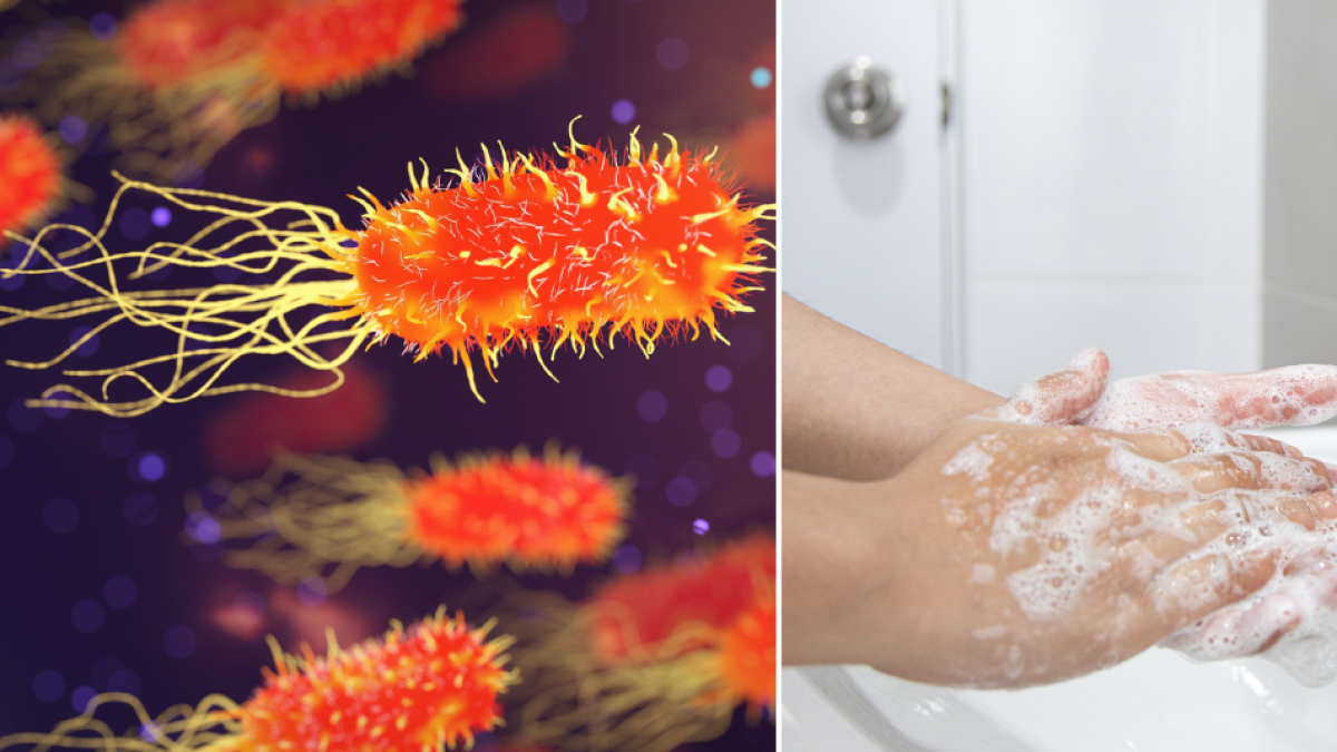 Este es el sencillo hábito que no puede dejar de hacer para evitar las bacterias
