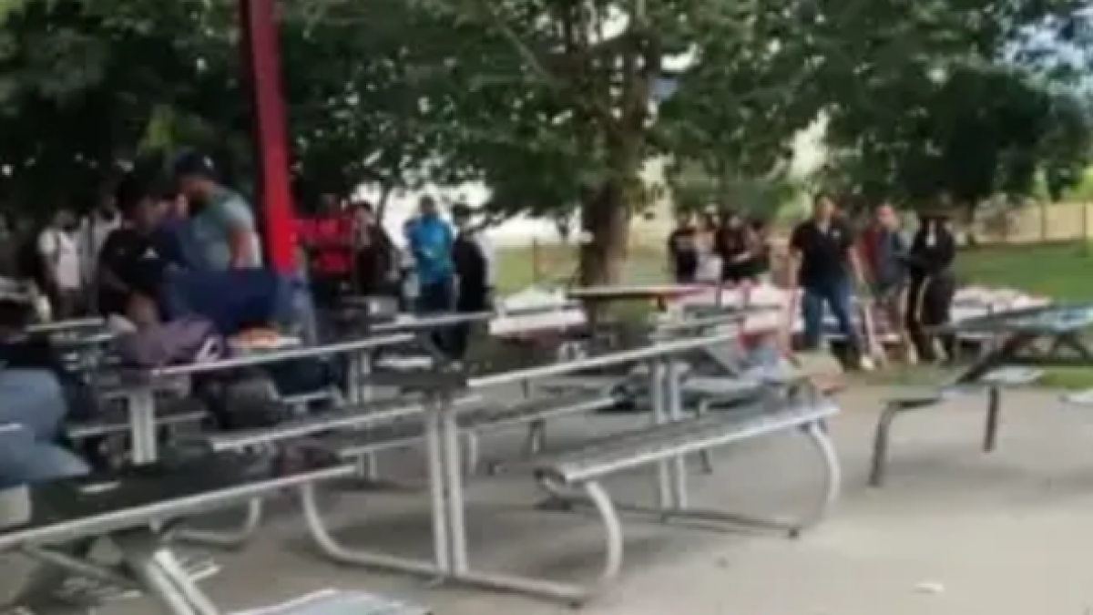 Video | Las medidas que toma la Universidad del Valle tras intento de feminicidios en campus y muerte del agresor