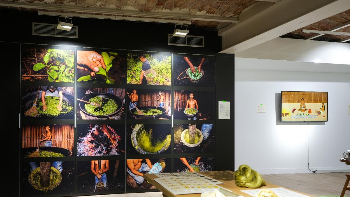 La estrategia de diplomacia cultural con la que Cancillería busca cambiar discurso de la hoja de coca en el mundo