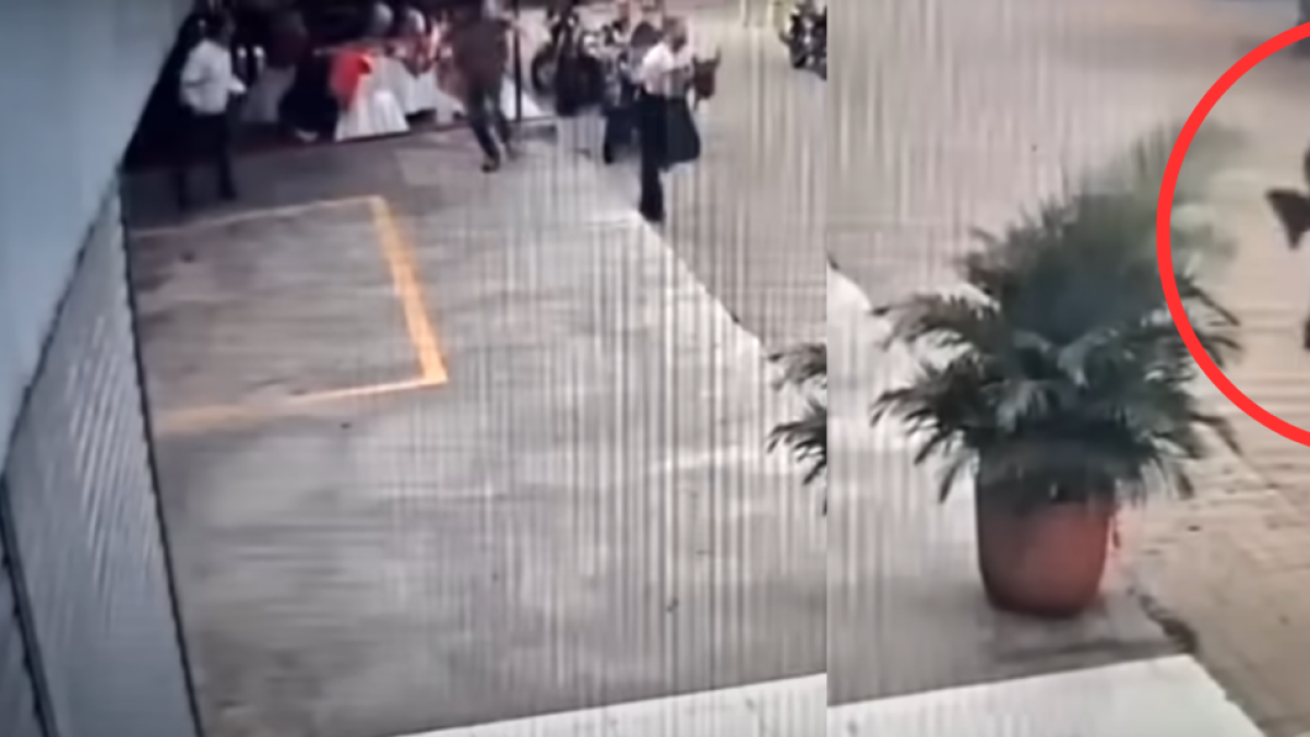 Revelan video inédito de 'La Diabla' tras masacre de pastor y familia en Aguachica: así escapó y se salvó de morir