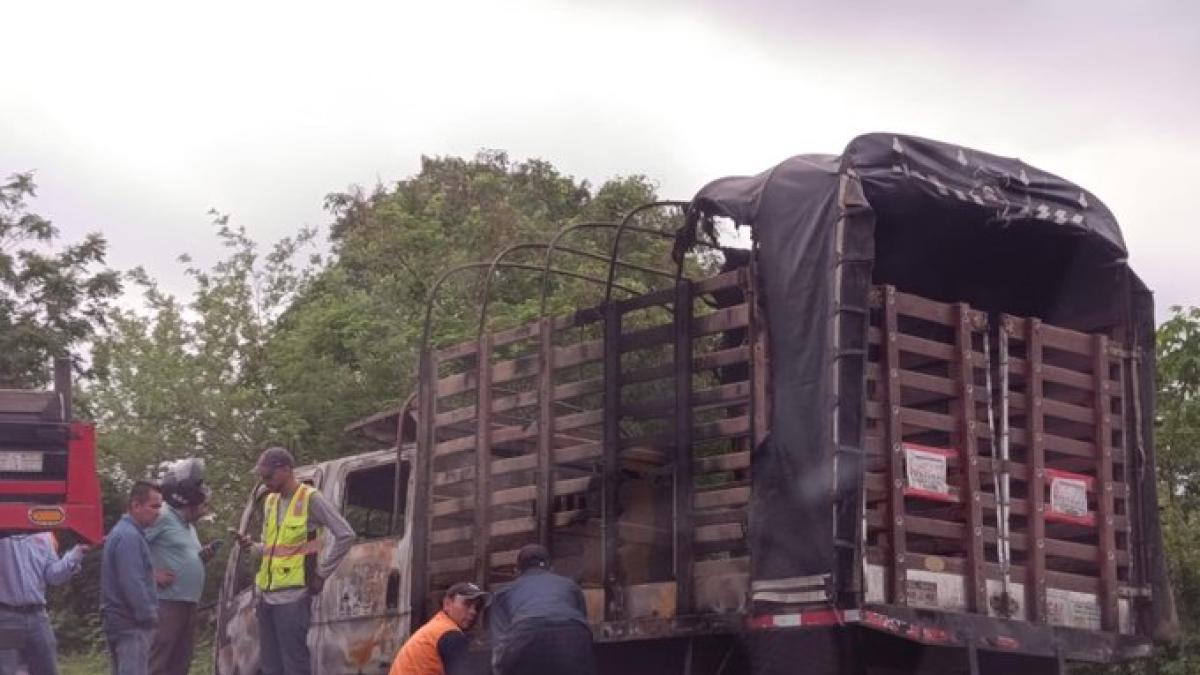 Violento asalto en la vía Oriental del Atlántico: delincuentes armados roban a conductor e incineran su camión