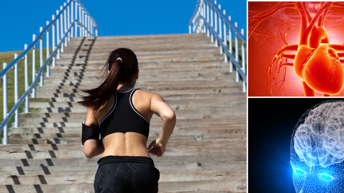 Este es el ejercicio cotidiano con grandes beneficios para el cuerpo, mente y la salud del corazón