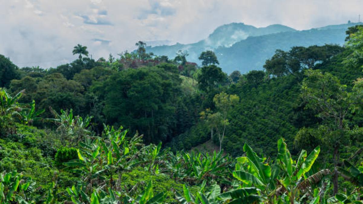 Tecnología para el campo: las claves para proteger su finca con cámaras de seguridad
