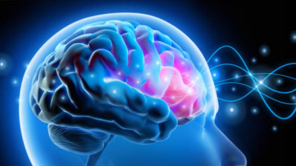 Clave esencial: esto es lo que sí o sí debe de hacer para cuidar su cerebro, según un neurólogo