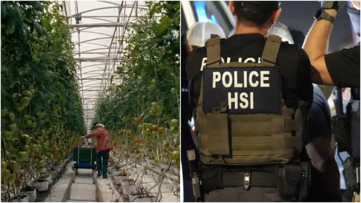 La escena de esta película mexicana que 'anticipó' lo que pasaría en Los Ángeles con los migrantes