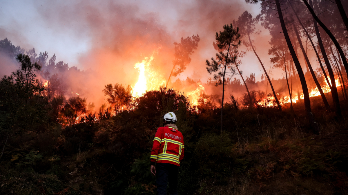 Ola de incendios en Portugal causa una tercera víctima mortal y deja unas 261.000 hectáreas devoradas por las llamas