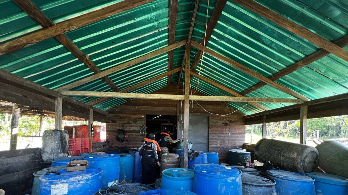 Fuerza Armada de Venezuela dice que ha destruido diez campamentos de grupos colombianos llamados 'Tancol'