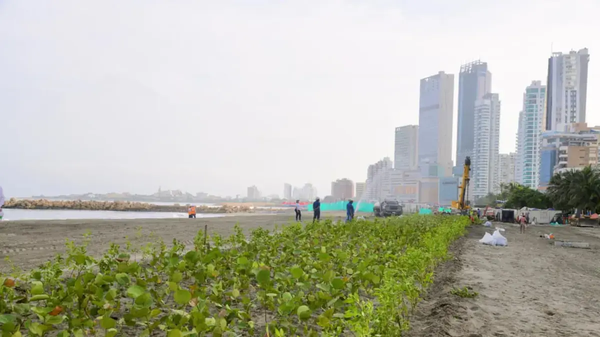 La UNGRD entregó la nueva Playa 3 de Bocagrande como parte del proyecto de Protección Costera para Cartagena