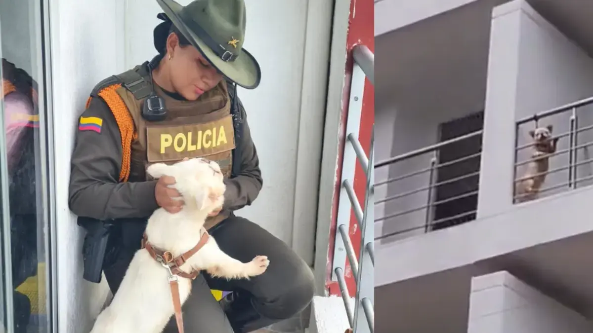 Autoridades rescataron a perrito que estaba amarrado en el balcón de un conjunto residencial en Yopal, Casanare