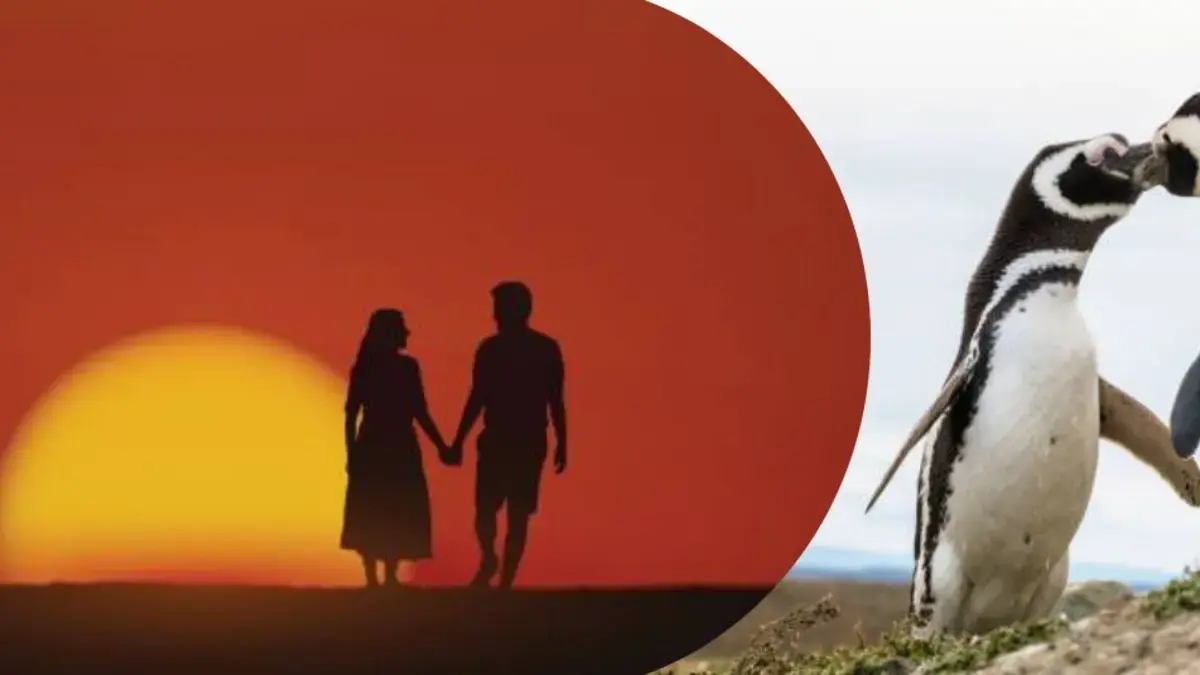 Pebbling: ¿qué significa esta tendencia viral en las relaciones y por qué atrae a tantos jóvenes?