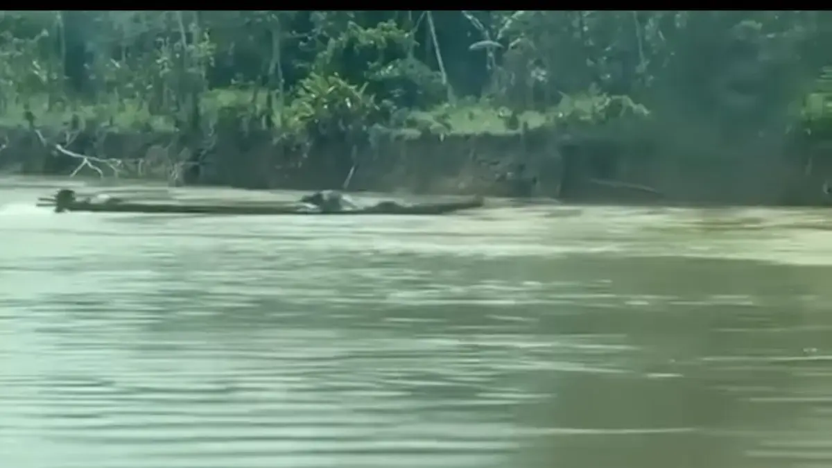 Fuerzas navales frustran ataque con embarcación explosiva en el río Guaviare: no se registran víctimas