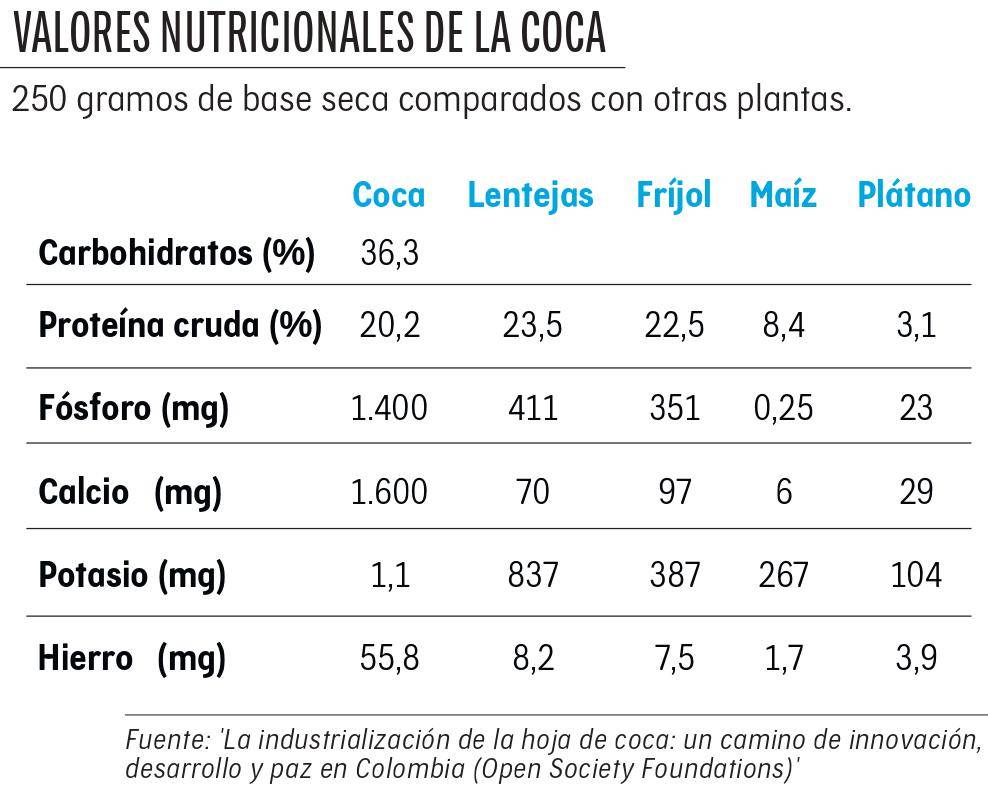 Erythroxylum propiedades medicinales y nutricionales de la coca