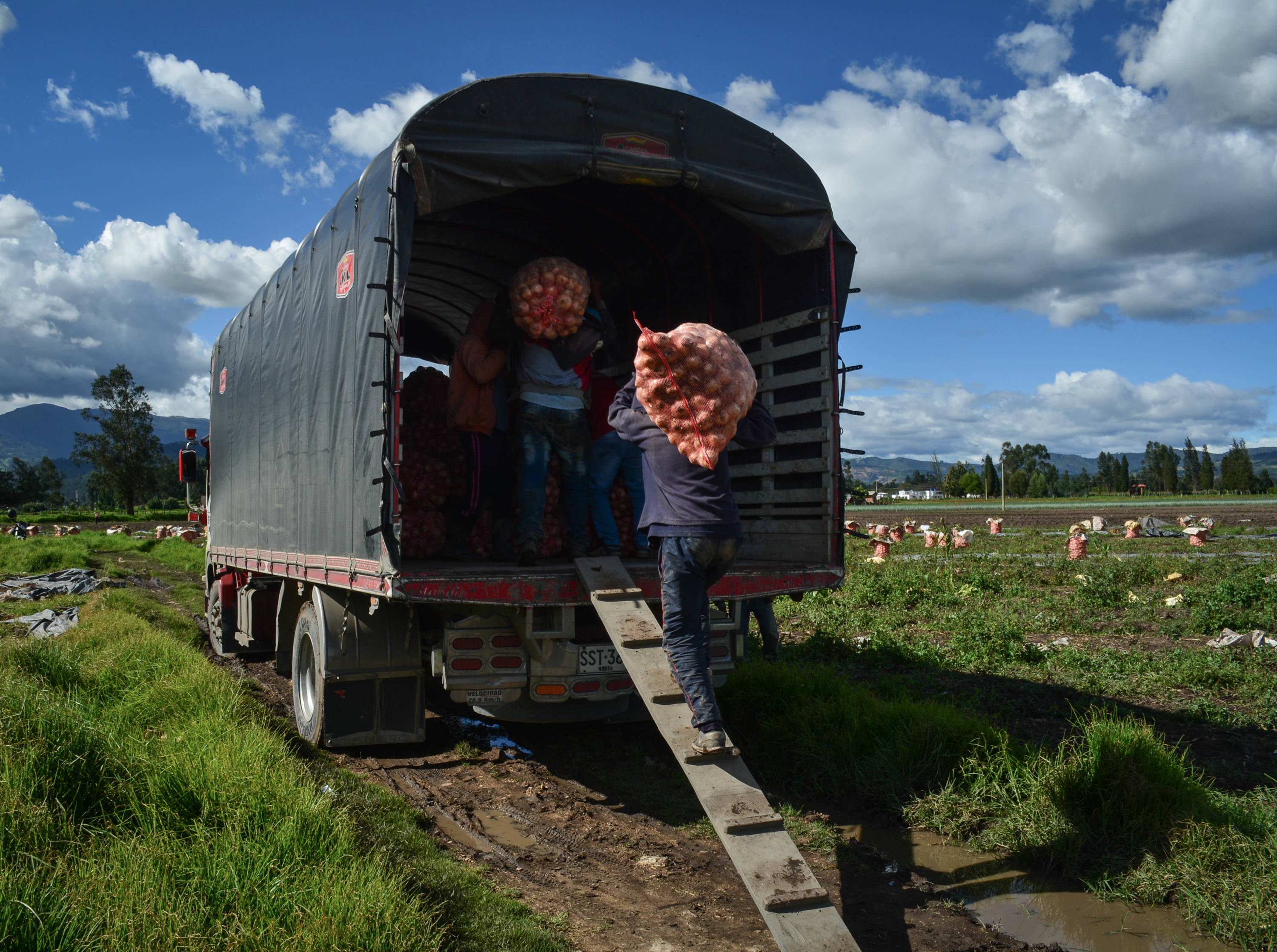 Los transportadores, un eslabón clave en la cadena de distribución de alimentos, ahora tienen que viajar sin la seguridad de encontrar hoteles o restaurantes en las carreteras.