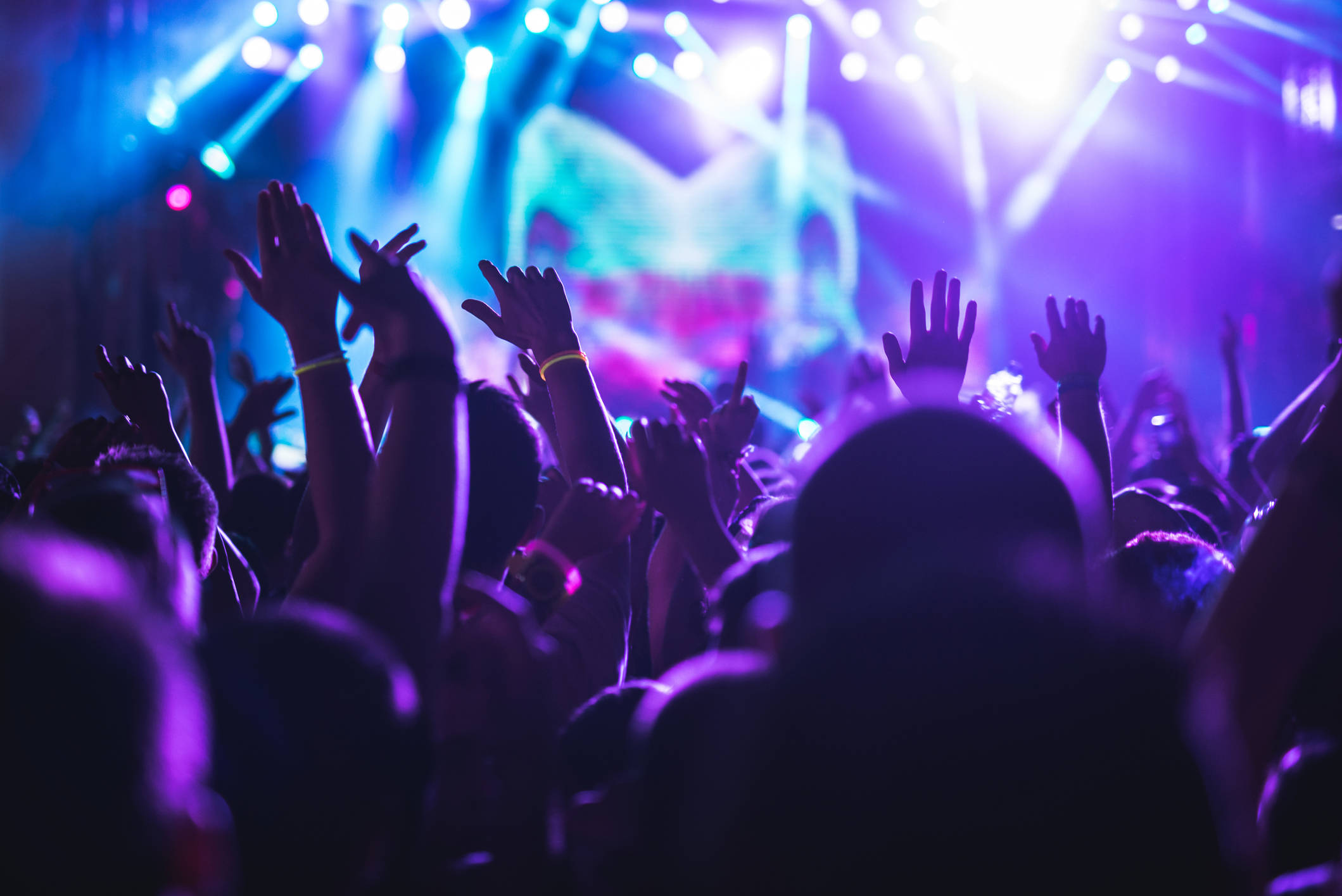 Fiesta - concierto