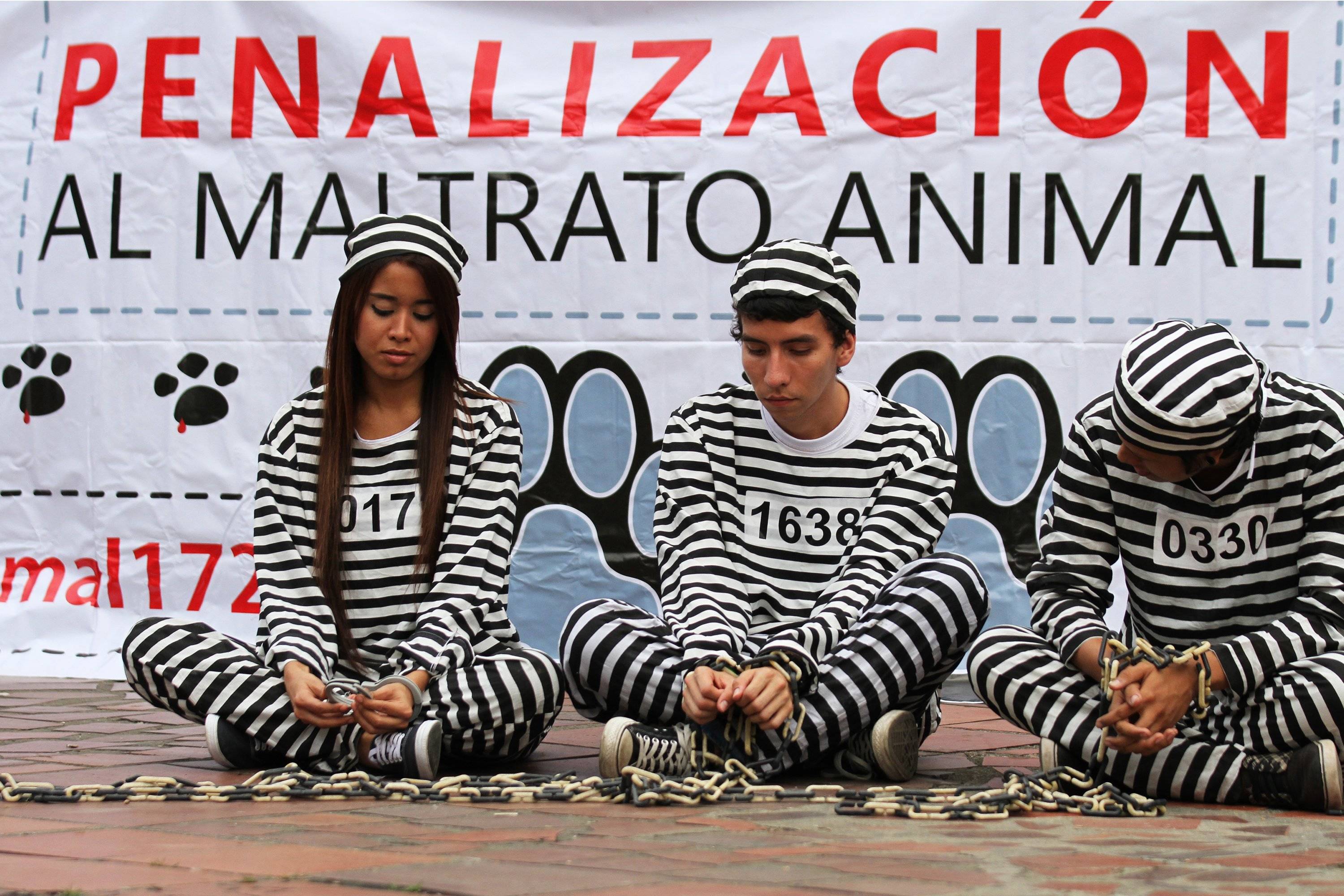 Gracias a la Denuncia de la Ciudadanía un hombre que abusaba de su mascota tenderrá una santón ejemplar.