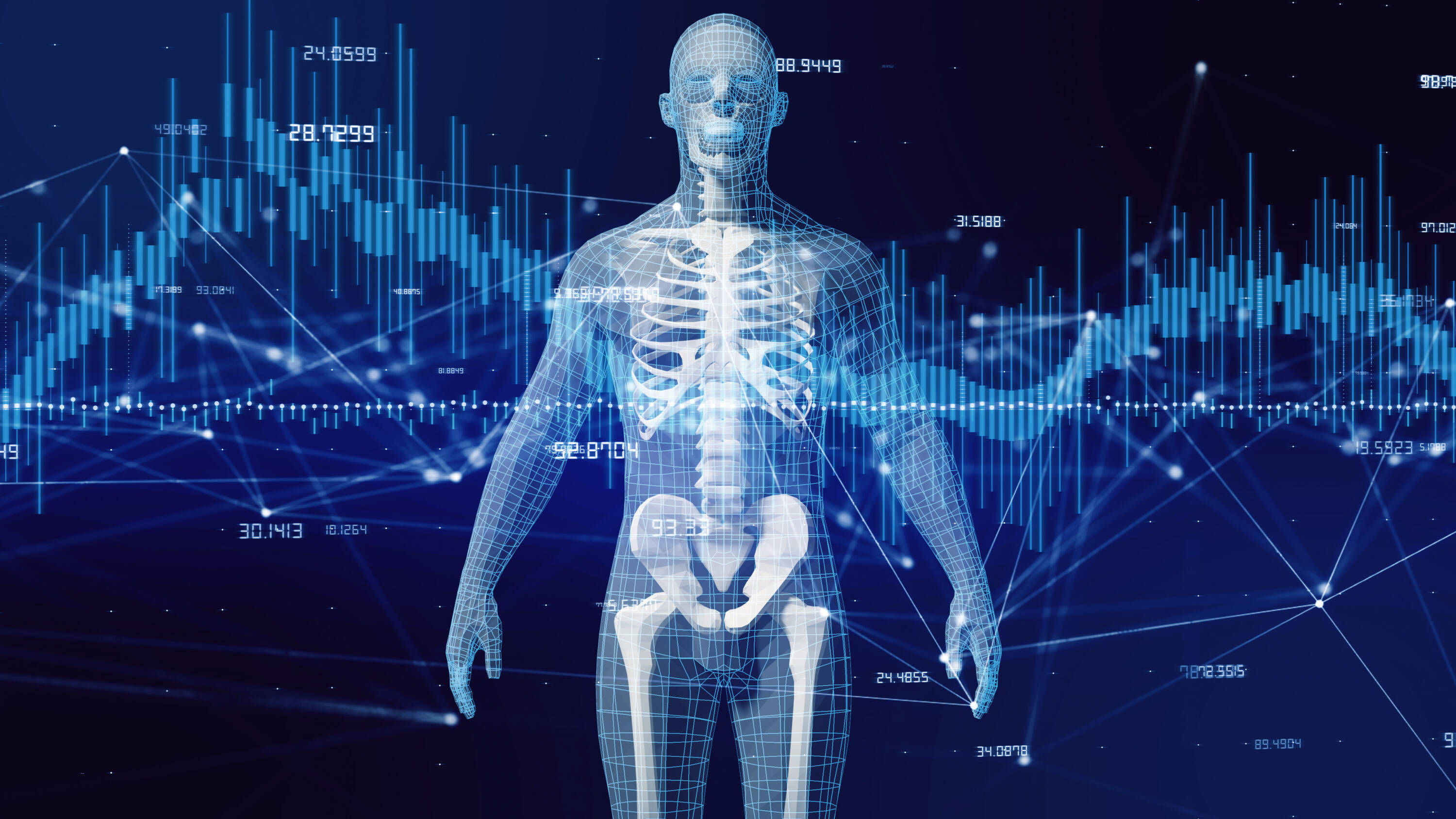¿Cuántos huesos tiene el cuerpo humano?