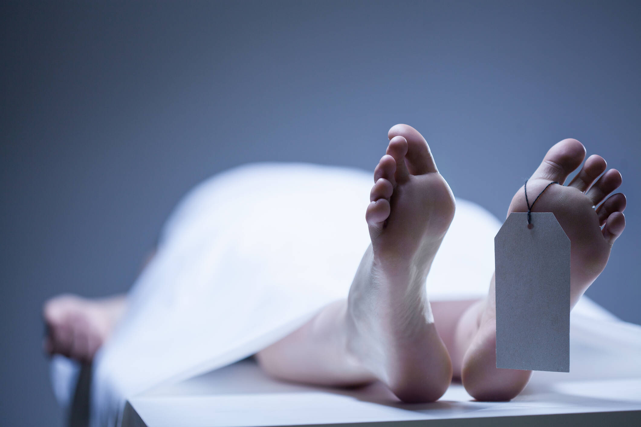 Algunos de los cuerpos aún tenían la etiqueta en los piies que se les pone en la Morgue.